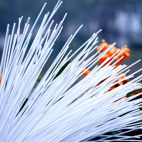 Filtre à membrane UF pressurisé à fibre creuse Suntar PVDF à l'extérieur