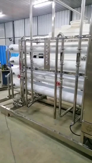 Équipement de traitement de l'eau du système RO 1000L/H